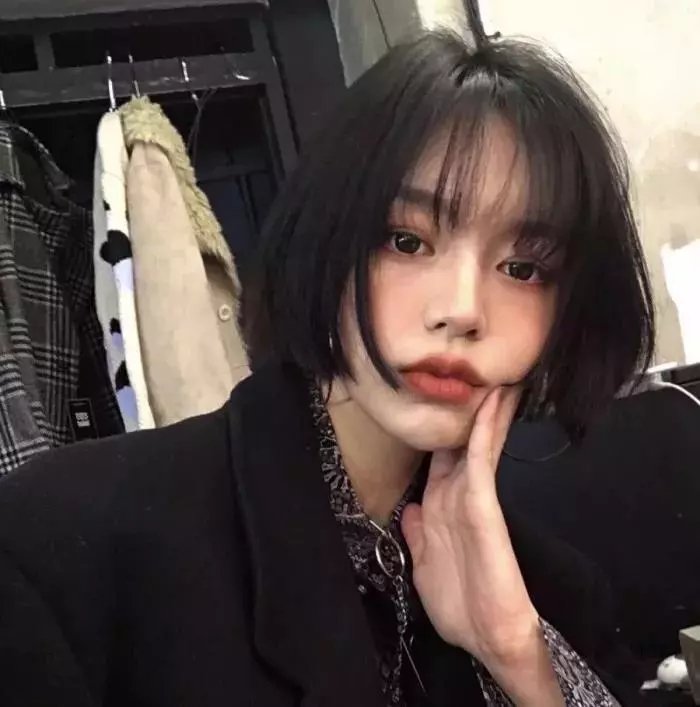郊狼